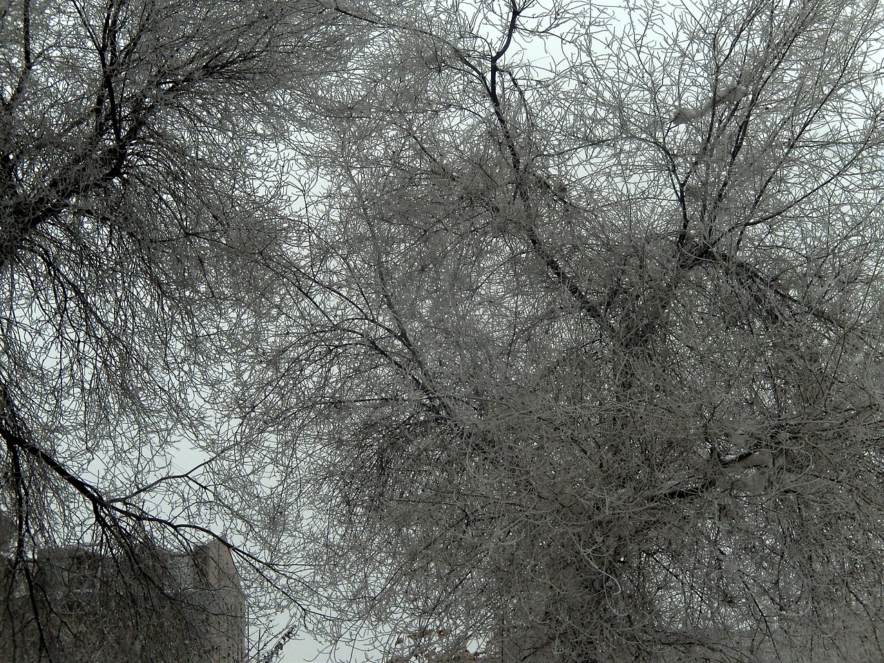 Winter in Armenia